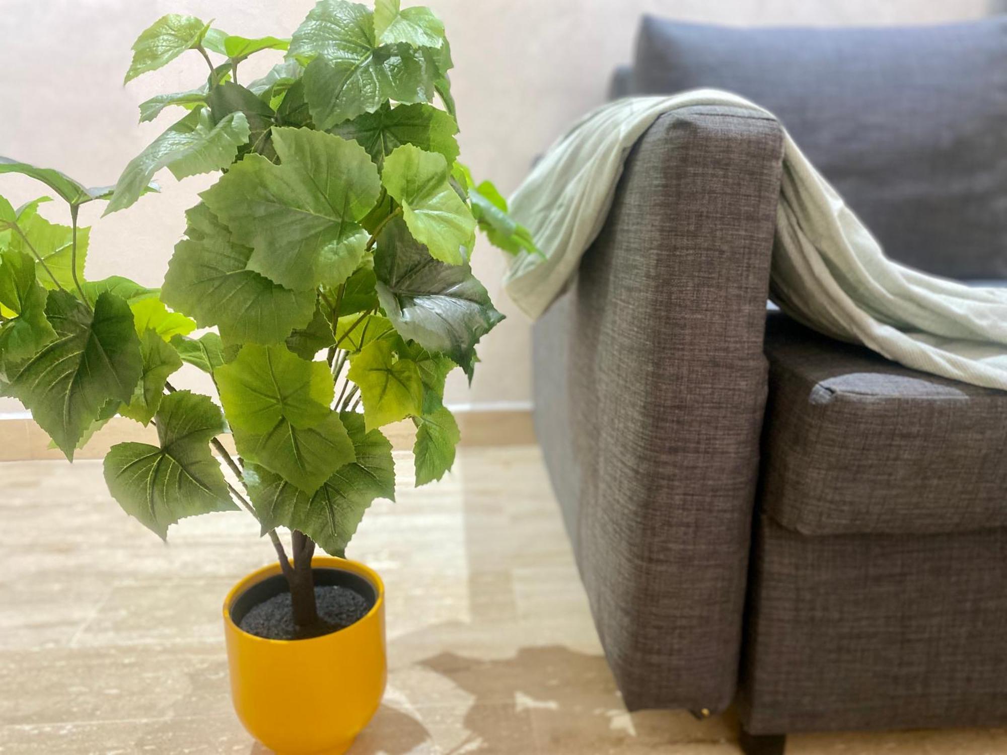 Superbe Appartement Tres Bien Situe Welcome Stay Casablanca Ngoại thất bức ảnh
